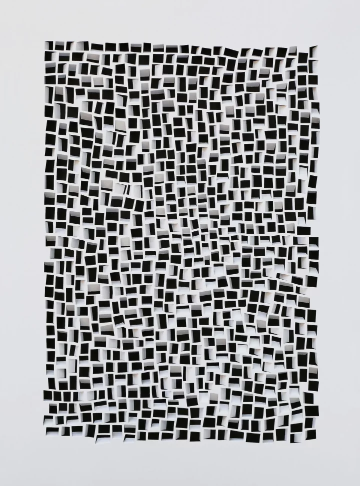 o. T. / Papierschnitt / ca. 100 x 70 cm / 2021
